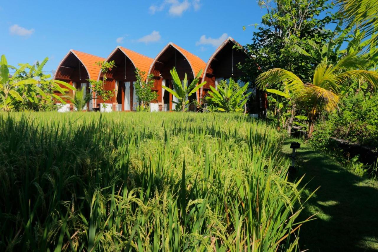 فندق Keramas Surf Camp المظهر الخارجي الصورة